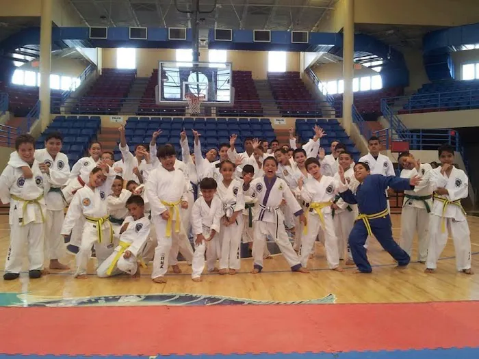 Western TaeKwon-Do Academies Picture 8