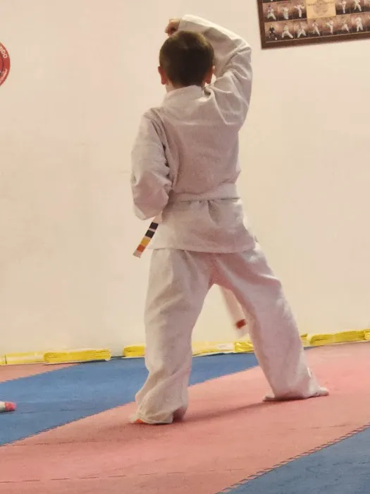 Dickson Taekwondo Picture 1