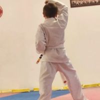Dickson Taekwondo ico