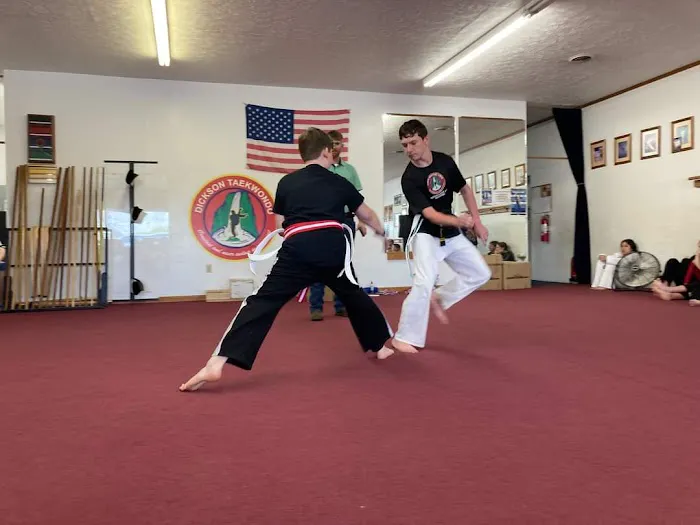 Dickson Taekwondo Picture 7