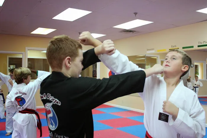 Black Dragon Martial Arts Picture 2