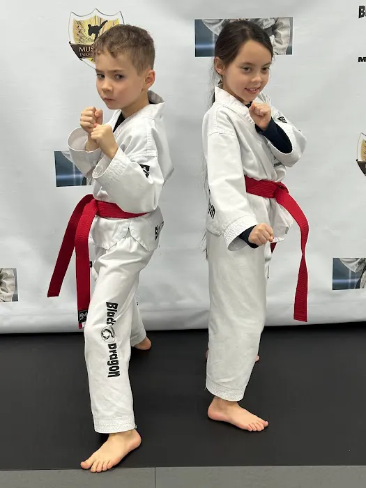 Black Dragon Martial Arts Picture 3