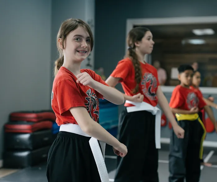 Black Dragon Martial Arts Picture 10