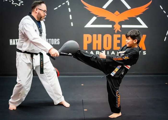 Phoenix Martial Arts Picture 3