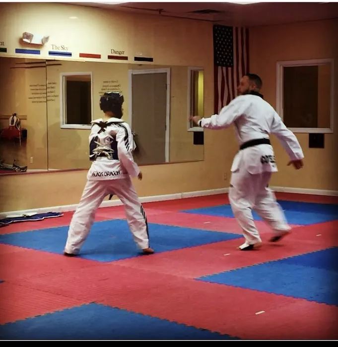 Phoenix Martial Arts Picture 1