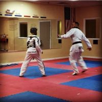 Phoenix Martial Arts ico