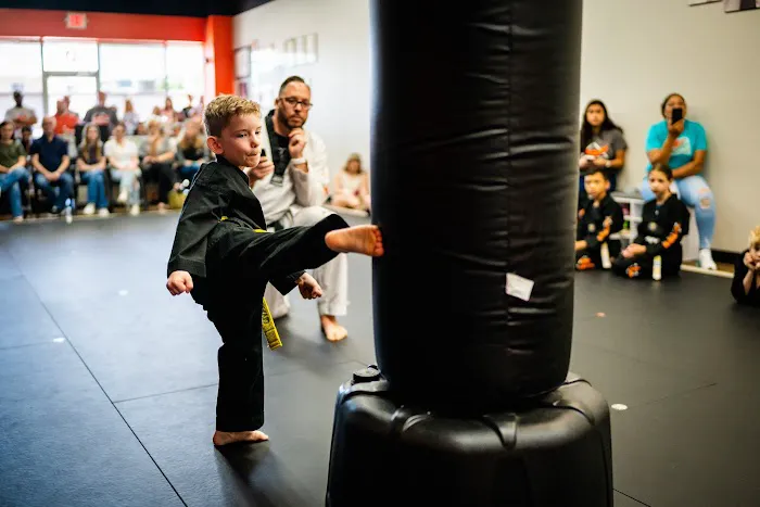 Phoenix Martial Arts Picture 4