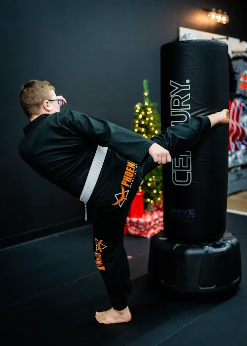 Phoenix Martial Arts Picture 2