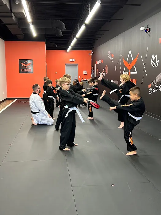 Phoenix Martial Arts Picture 10