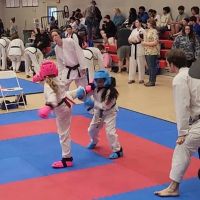 Columbia Taekwondo ico