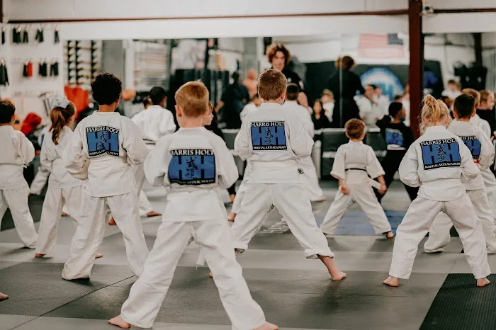 Harris Holt Martial Arts Academy Picture 4