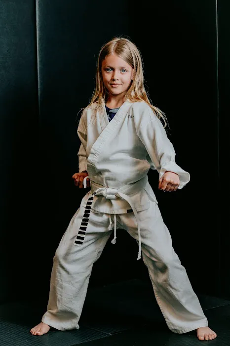 Harris Holt Martial Arts Academy Picture 6