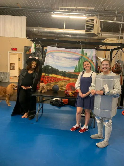 BOWEN COMBATIVE ARTS ACADEMY Picture 10