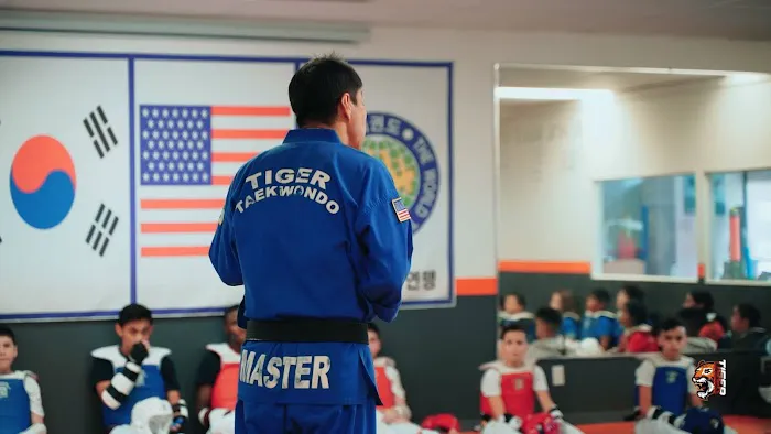 Tiger Taekwondo Picture 4