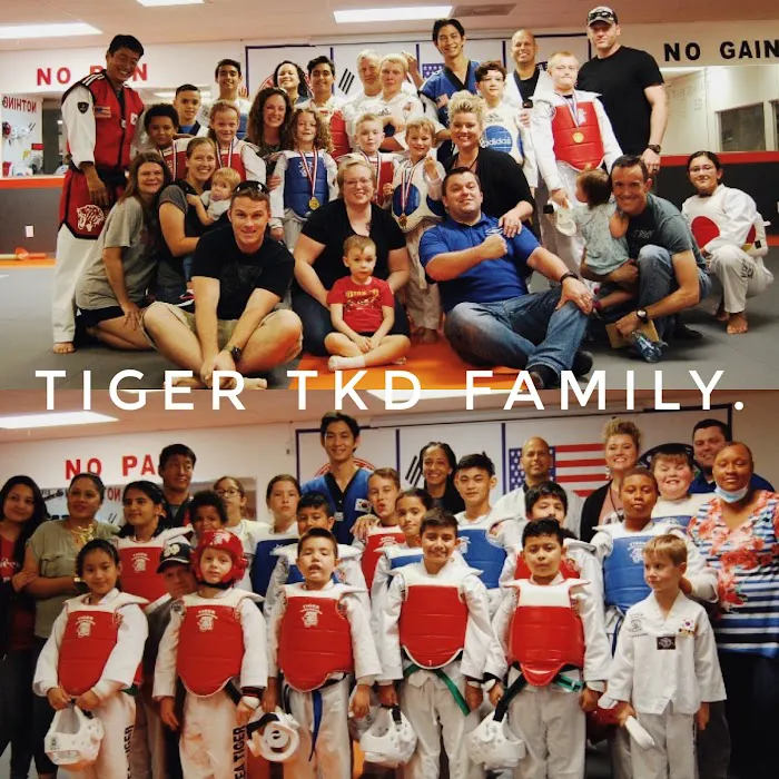 Tiger Taekwondo Picture 7
