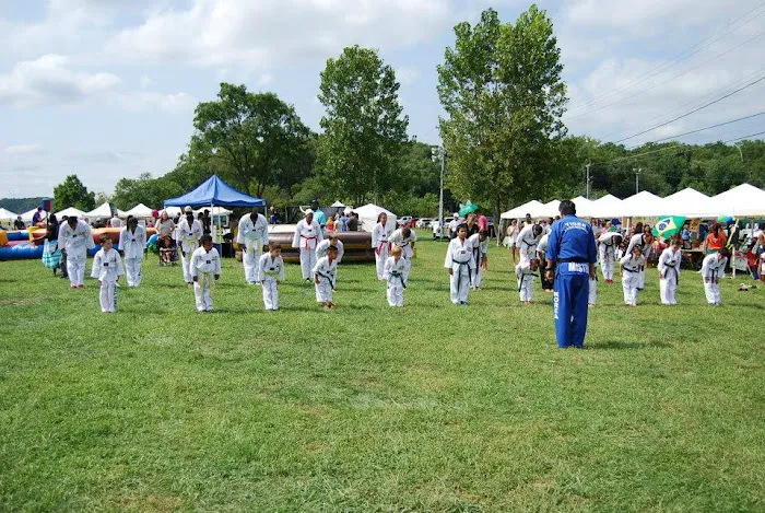 Tiger Taekwondo Picture 10