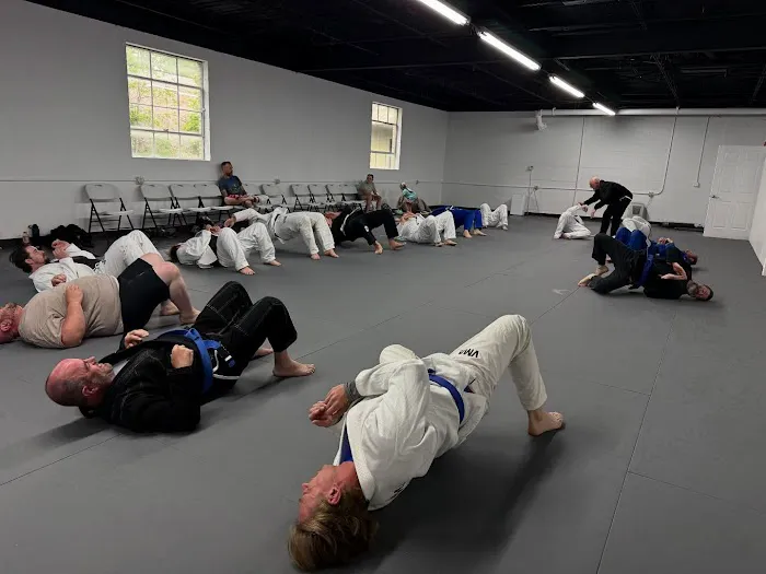 Vigilance Martial Arts - VMA Dickson Picture 8