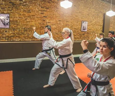 Taekwondo Academy of Erin