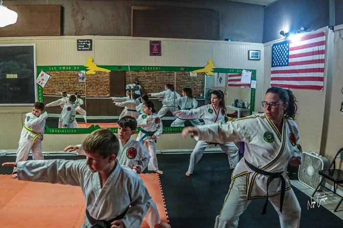 Taekwondo Academy of Erin Picture 4