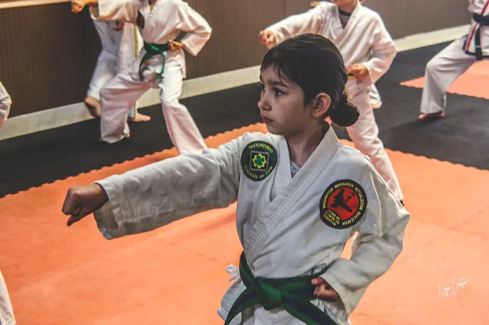 Taekwondo Academy of Erin Picture 5