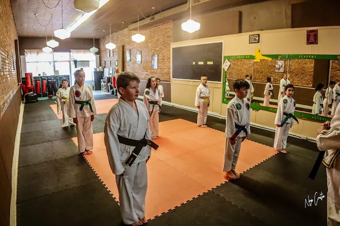 Taekwondo Academy of Erin Picture 2