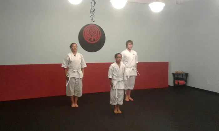 Okawa Baize Karate Picture 1