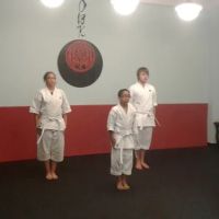 Okawa Baize Karate ico