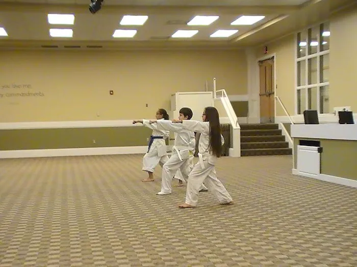 Okawa Baize Karate Picture 6