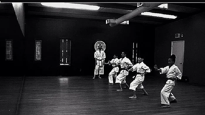 Okawa Baize Karate Picture 4