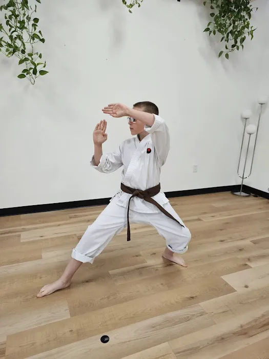 Okawa Baize Karate Picture 10