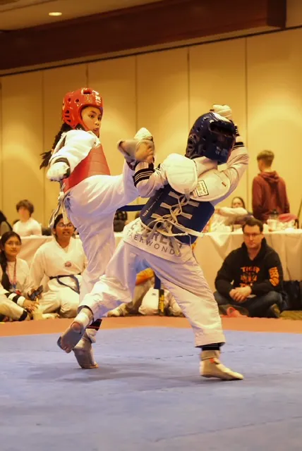 Tiger Taekwondo Picture 7