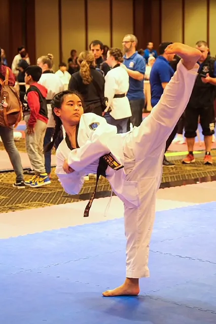 Tiger Taekwondo Picture 8