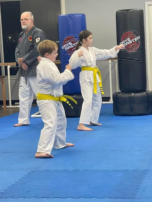 Linden Taekwondo Picture 2