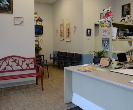 Kriegisch Martial Arts