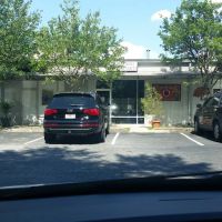 Tree of Life Dojo ico