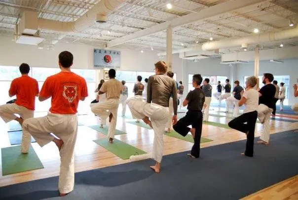 Tree of Life Dojo Picture 6