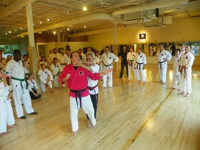 Tree of Life Dojo Picture 5