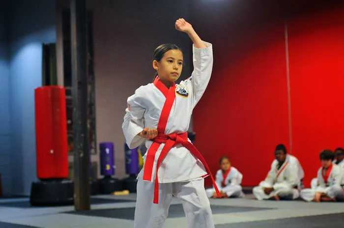 Kick Start Martial Arts : Grant Park Picture 4