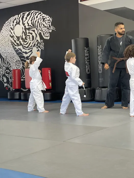 Evolution X Martial Arts Picture 1