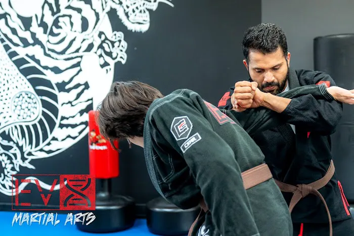 Evolution X Martial Arts Picture 2