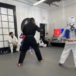 TONCHU Martial Arts - Decatur