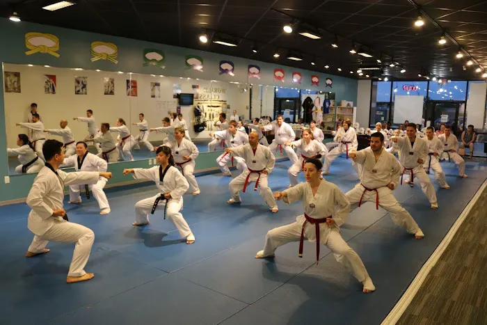 Master Y Kim's World Class TaeKwonDo & Martial Arts Picture 4