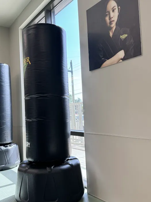 Premier Martial Arts Decatur East Picture 3