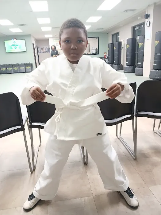 Premier Martial Arts Decatur East Picture 1