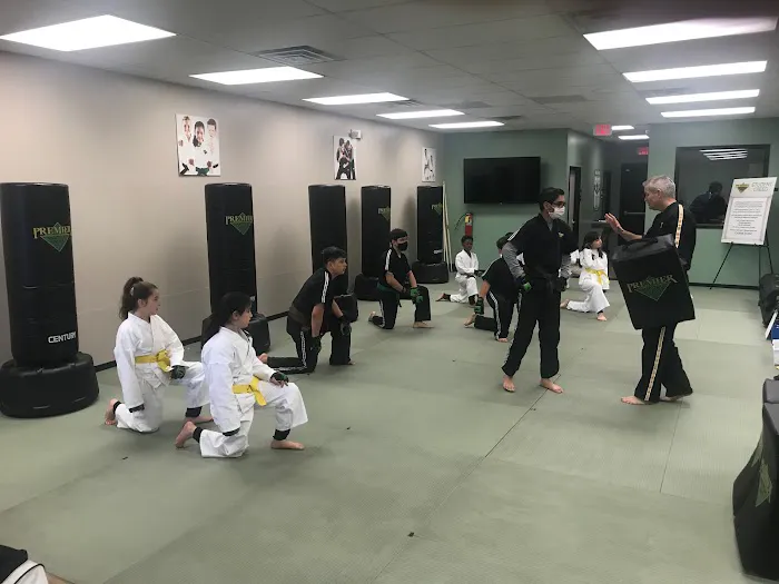 Premier Martial Arts Decatur East Picture 6