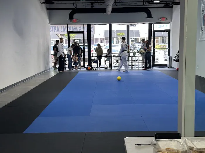 Chun's Martial Arts Academy Picture 3