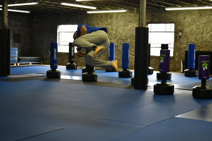 Tsunami Mixed Martial Arts Picture 2