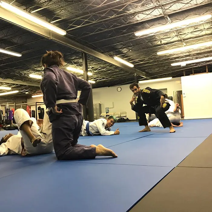 Tsunami Mixed Martial Arts Picture 8