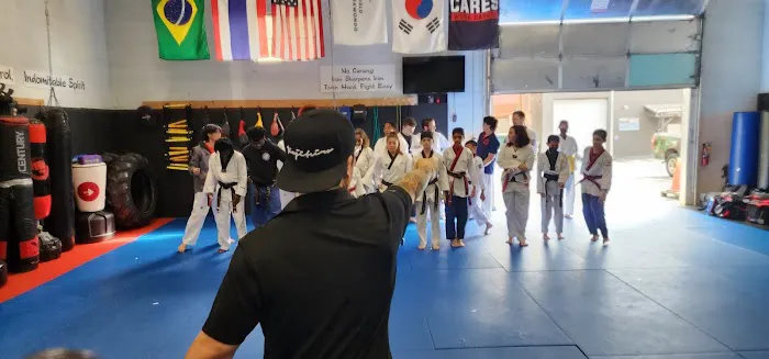 Tsunami Mixed Martial Arts Picture 6