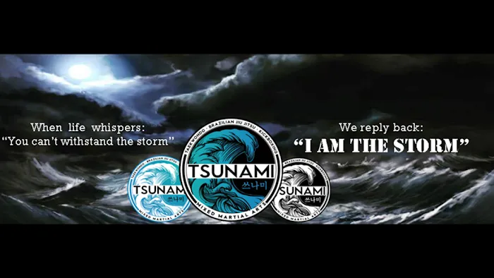 Tsunami Mixed Martial Arts Picture 10